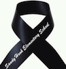 Sandy Hook ribbon